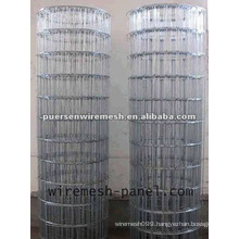 Electro Galvanized welded wire mesh